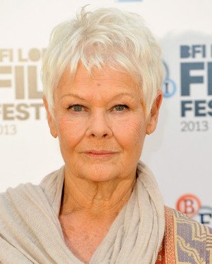 embedded_judy-dench-gray-hair_color