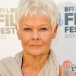 embedded_judy-dench-gray-hair_color